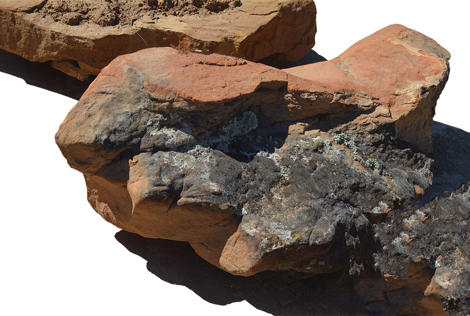 LANDSCAPE AND POOL BOULDERS